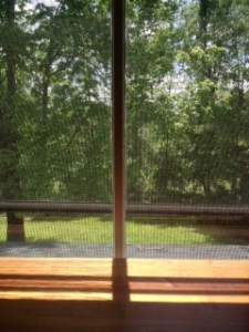 The view from the window of my room at The Porches.